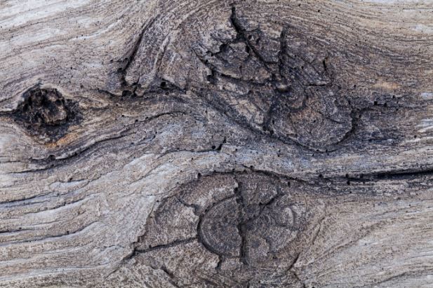 MagraHearth Natural Wood Mantel - Silver - Accessories