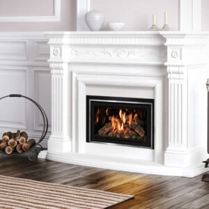 Mendota - FV44i FireIn Fireplace Insert - Mendota